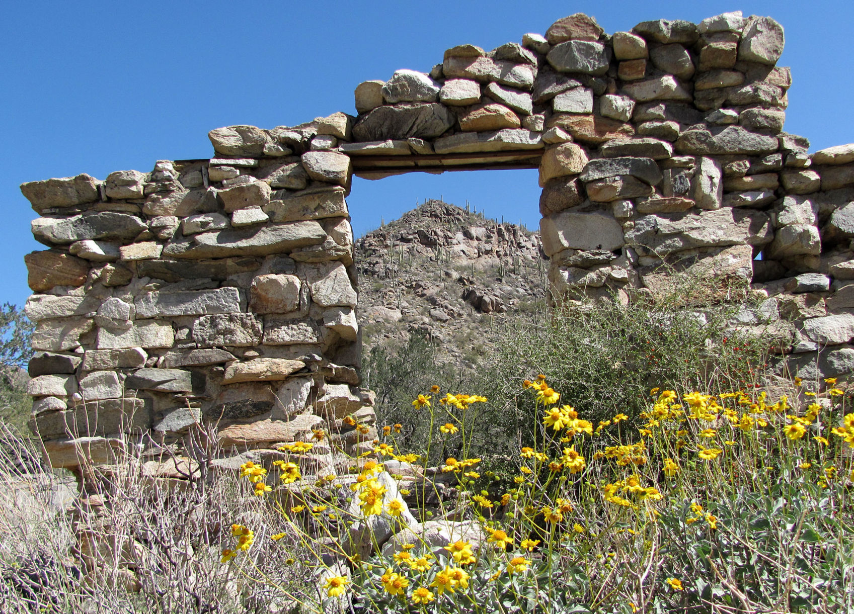 Wild Burro Trail